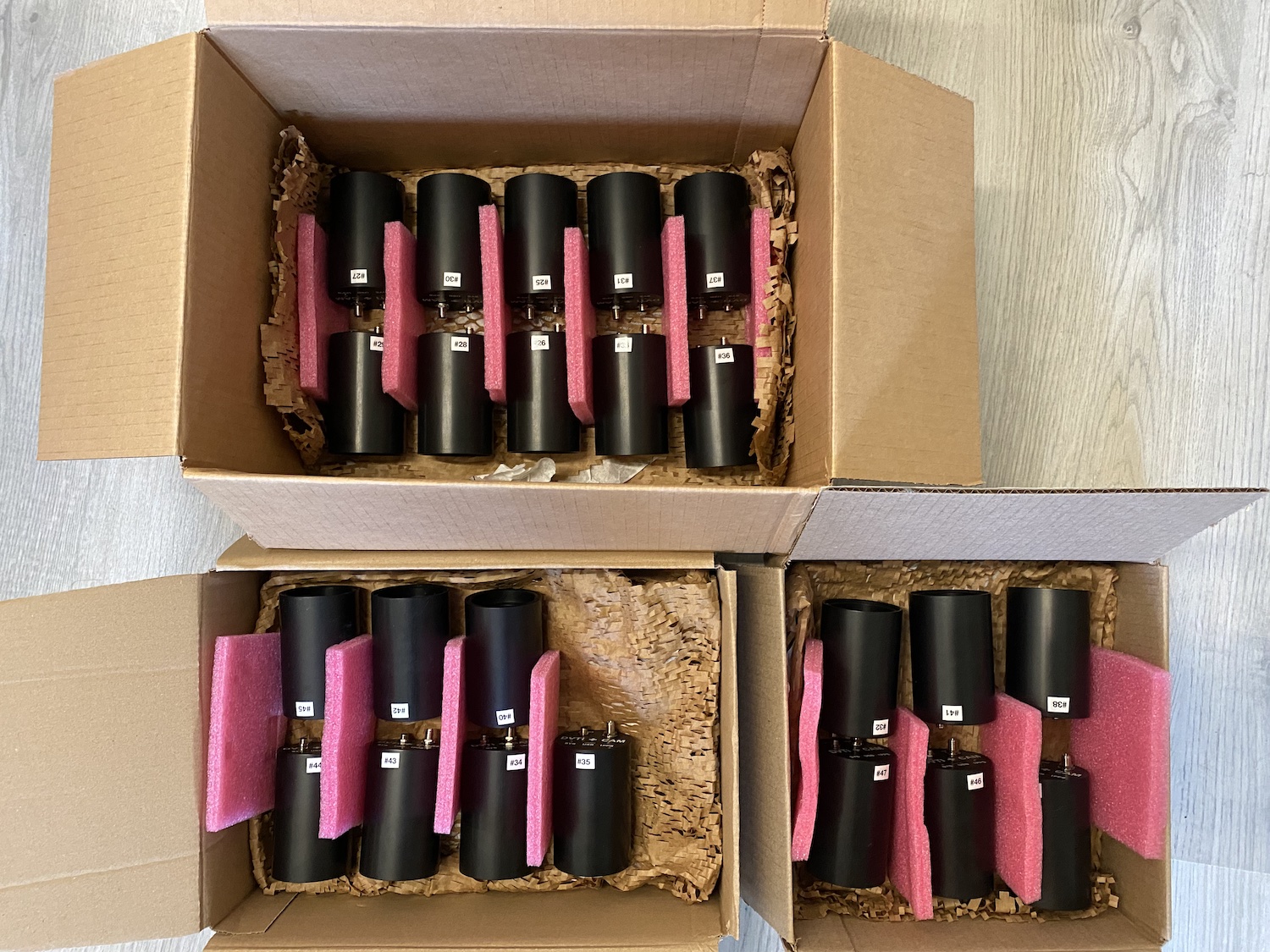 History of the project